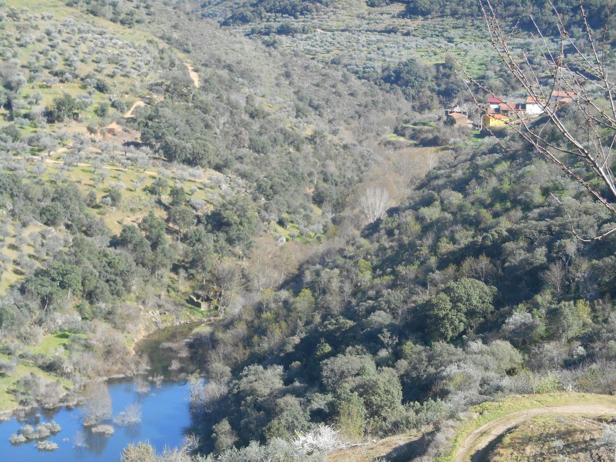 Quinta do Souto Casa Do Souto 빌라 외부 사진