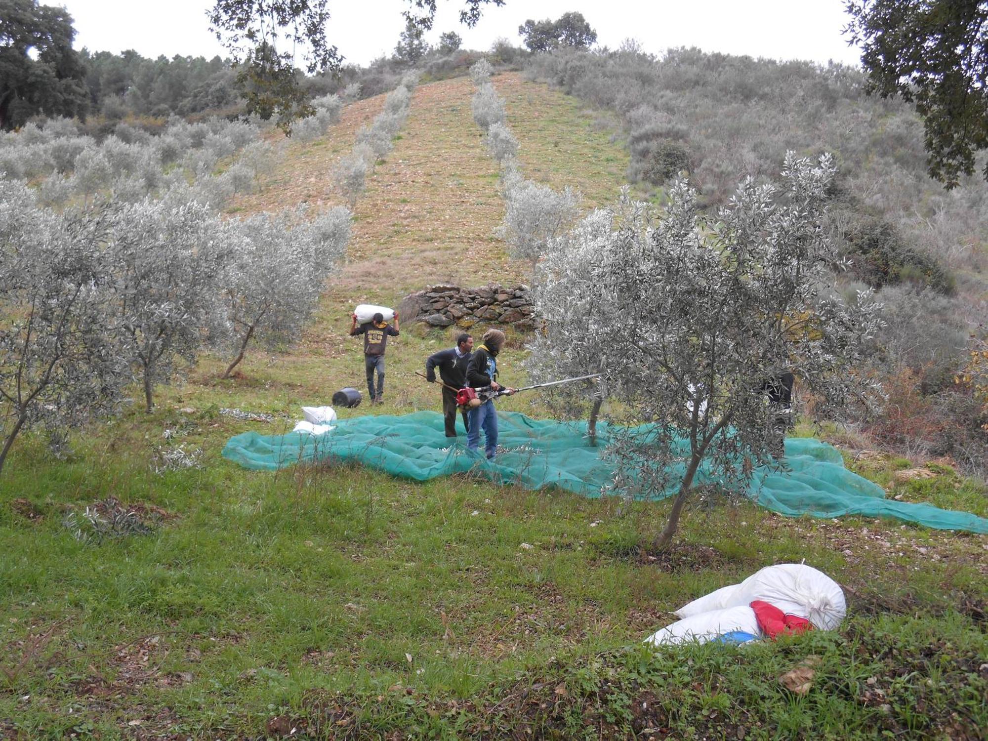 Quinta do Souto Casa Do Souto 빌라 외부 사진