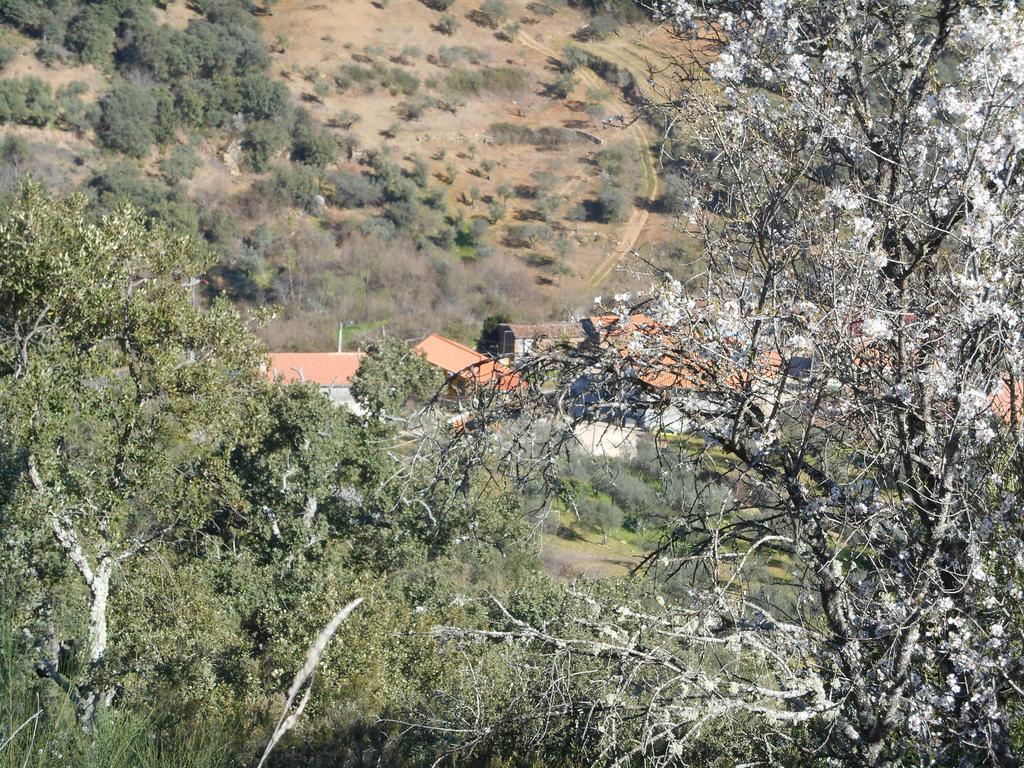 Quinta do Souto Casa Do Souto 빌라 외부 사진