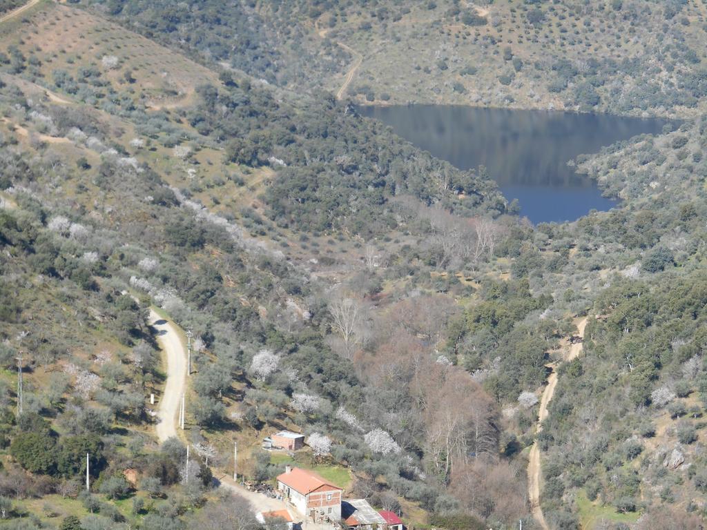 Quinta do Souto Casa Do Souto 빌라 외부 사진
